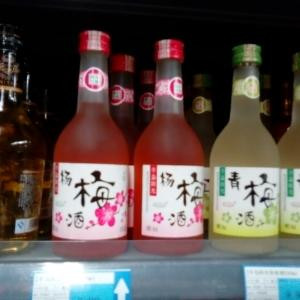 随风追忆
