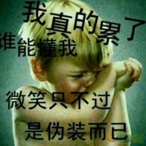 雁南飛