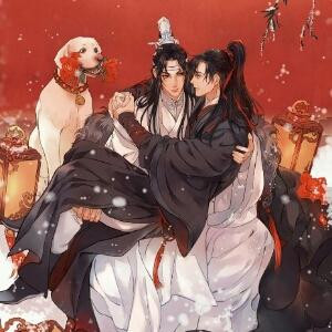 维杰454