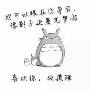 陌挽巷