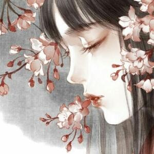 栀晩鸢乱