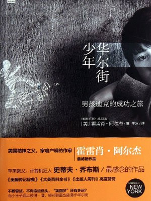 华尔街少年：男孩迪克的成功之旅
