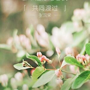 天神之影