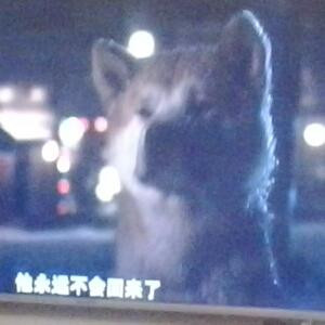 用户jcjr0lyu3i