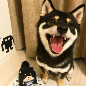 陆路