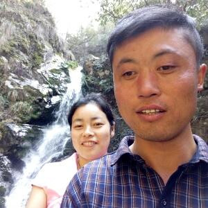 鱼哥