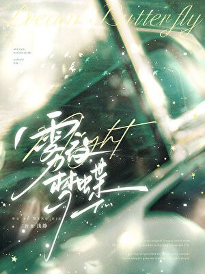 雾夜梦蝶