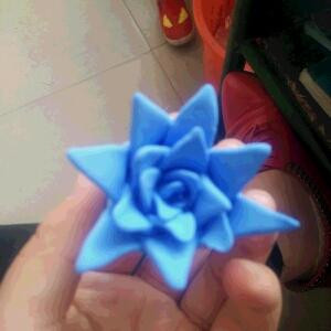 小草