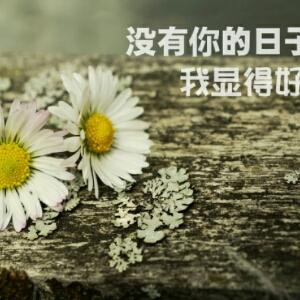 上官芊芊