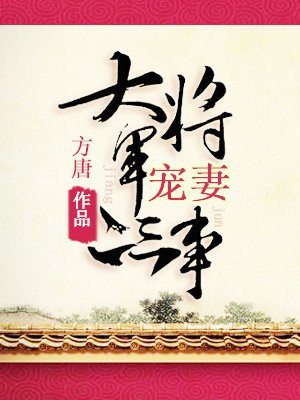 大将军宠妻二三事
