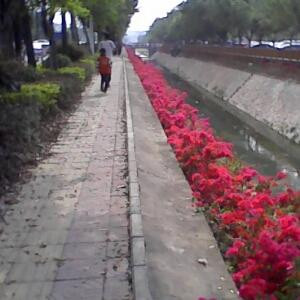 书中自由的天空