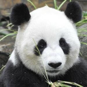 书我的最爱
