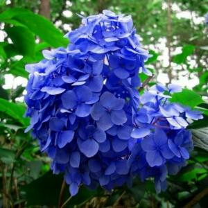 花样年华