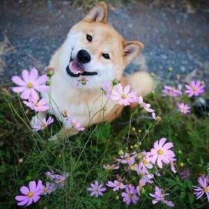 依兰媛