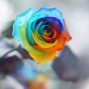 ら某個路口相遇