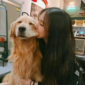 初时如梦