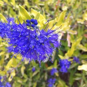 瞌睡也挡不住我