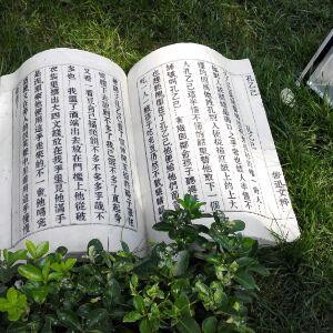 金豆豆
