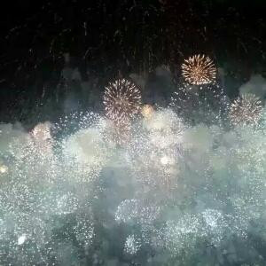 王枫