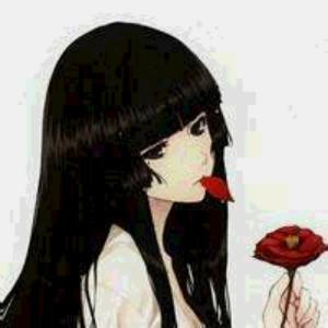 紫菲羽