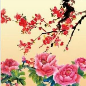 寒梅