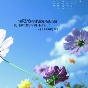 冷霞