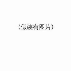 桥宝