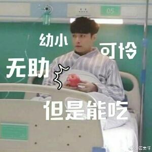张若白