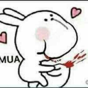 叶修妻不可欺