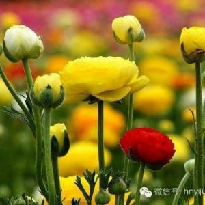 小穆