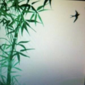 竹林