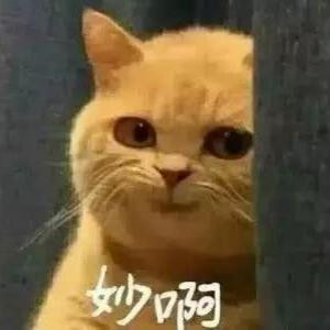 柴火妞