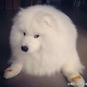 lovefr萌萌哒