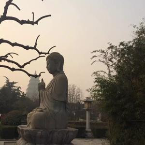 陌上花开
