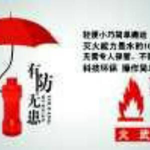 书虫