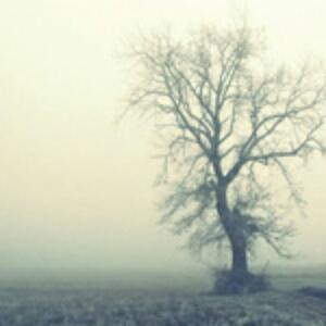 陌上花开缓缓归