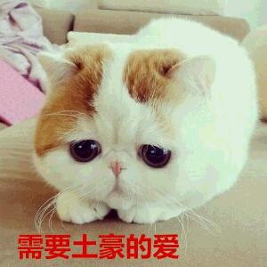 音无小夜