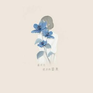 阿缇
