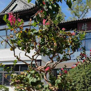一条大路通罗马