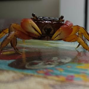 我愿安静的活在每个有你的角落