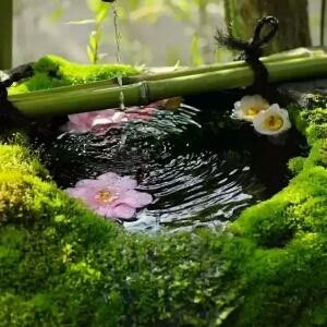 山清水秀