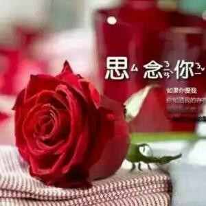 幸福的承诺