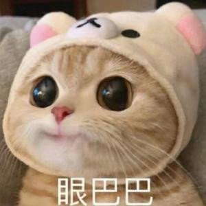 不吃南瓜