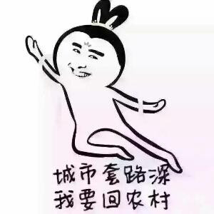 山丹花