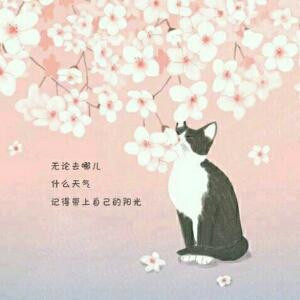 羽