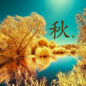 明天我不玩