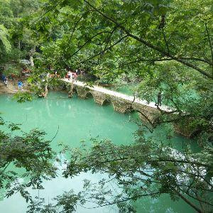 黑森林