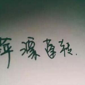 萍漂蓬转