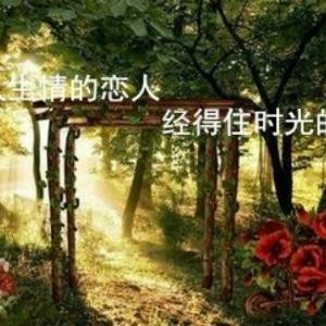 烟花不散