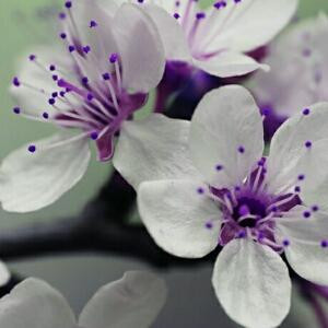 雨后的彩虹